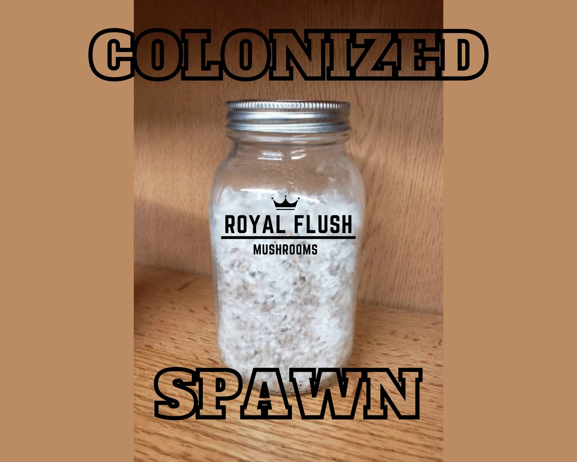 1 Quart of Grain Spawn (1lb.) – Royal Flush Mushrooms
