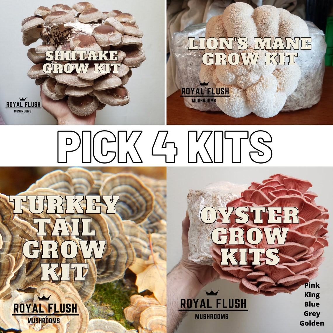 Mushroom Grow Kit Variety Pack - Choose Any 4