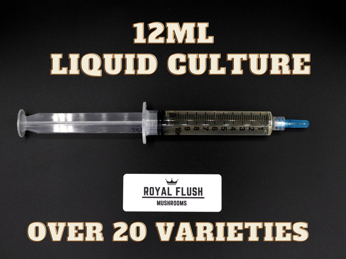 Mushroom Liquid Culture 12ml Single Syringe
